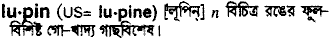 lupine
meaning in bengali