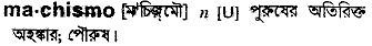 machismo
meaning in bengali