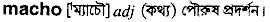 macho
meaning in bengali