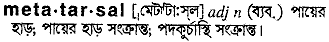 metatarsal
meaning in bengali