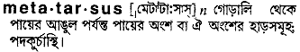 metatarsus
meaning in bengali