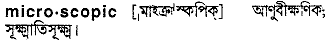 microscopic
meaning in bengali