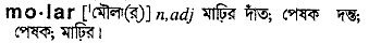 molar
meaning in bengali