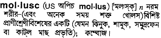 mollusc
meaning in bengali