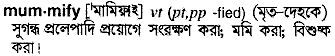 mummify
meaning in bengali
