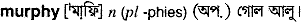 murphy
meaning in bengali