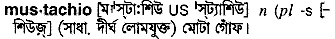 mustachio
meaning in bengali