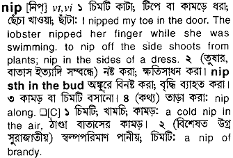 nip
meaning in bengali