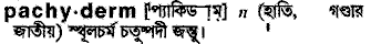 pachyderm
meaning in bengali