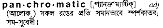 panchromatic
meaning in bengali