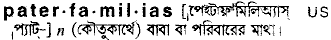 paterfamilias
meaning in bengali