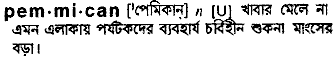 pemmican
meaning in bengali