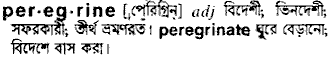 peregrine
meaning in bengali