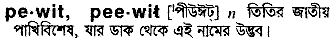 pewit
meaning in bengali