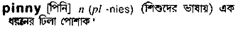 pinny
meaning in bengali