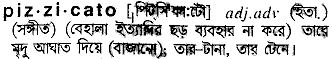 pizzicato
meaning in bengali