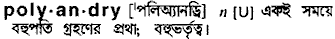 polyandry
meaning in bengali