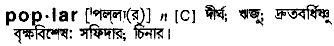 poplar
meaning in bengali