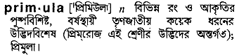 primula
meaning in bengali