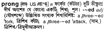prong
meaning in bengali