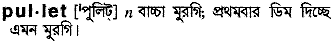 pullet
meaning in bengali