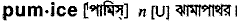pumice
meaning in bengali