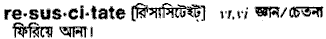 resuscitate
meaning in bengali