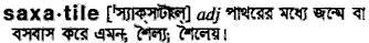 saxatile
meaning in bengali
