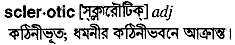 sclerotic
meaning in bengali