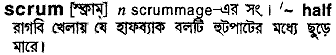 scrum
meaning in bengali