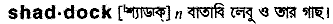 shaddock
meaning in bengali