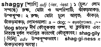 shaggy
meaning in bengali