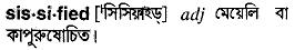 sissified
meaning in bengali