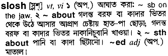 slosh
meaning in bengali