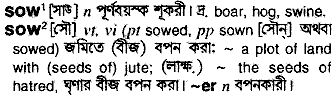 Sow meaning in bengali
