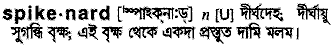 spikenard
meaning in bengali