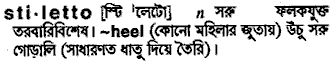 stiletto
meaning in bengali