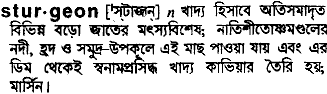 sturgeon
meaning in bengali