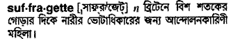 suffragette
meaning in bengali