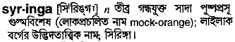 syringa
meaning in bengali