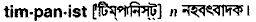 timpanist
meaning in bengali