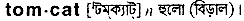 tomcat
meaning in bengali