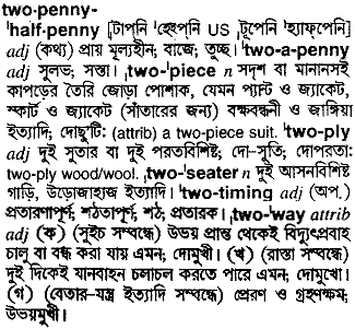 twopenny halfpenny
meaning in bengali