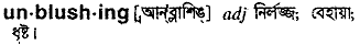 unblushing
meaning in bengali