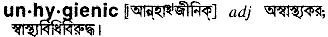 unhygienic
meaning in bengali
