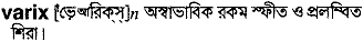 varix
meaning in bengali