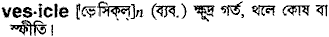 vesicle
meaning in bengali