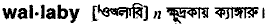 wallaby
meaning in bengali