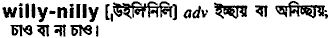 willy nilly
meaning in bengali