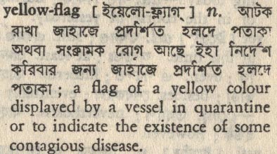 yellow flag
meaning in bengali